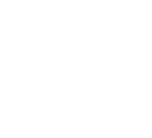 IDA